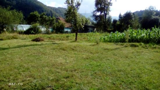 VAND TEREN 1800mp,    BILUGU,    VALEA DE BRAZI,    CAMPU LUI NEAG,   MUNTII RETEZAT