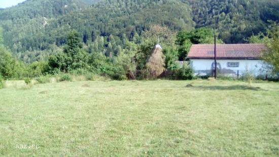 VAND TEREN 1800mp,    BILUGU,    VALEA DE BRAZI,    CAMPU LUI NEAG,   MUNTII RETEZAT
