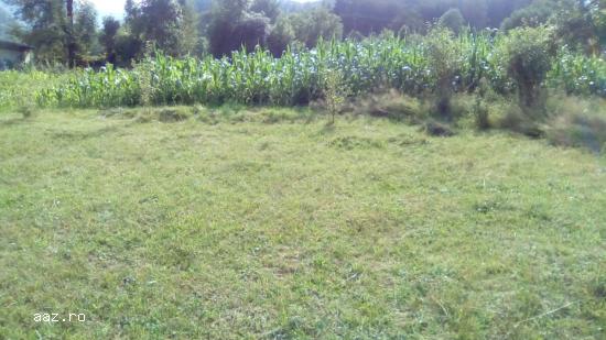 VAND TEREN 1800mp,    BILUGU,    VALEA DE BRAZI,    CAMPU LUI NEAG,   MUNTII RETEZAT