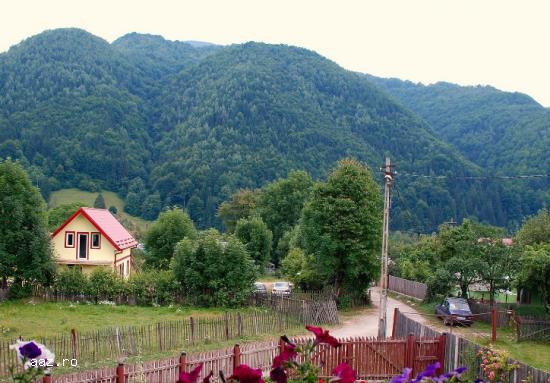 VAND TEREN 1800mp,    BILUGU,    VALEA DE BRAZI,    CAMPU LUI NEAG,   MUNTII RETEZAT